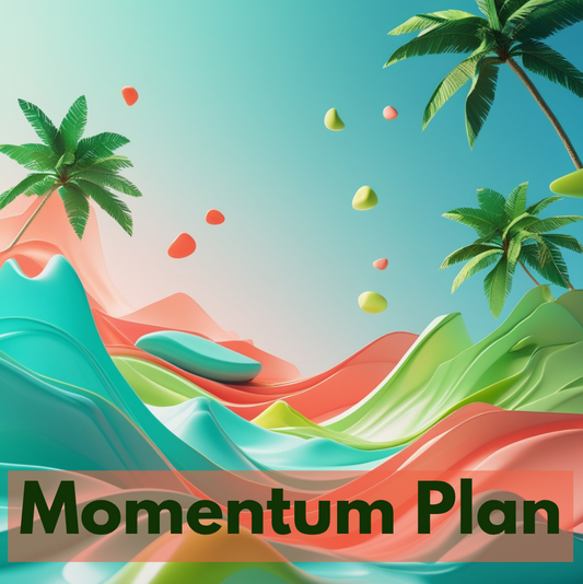 Momentum Plan