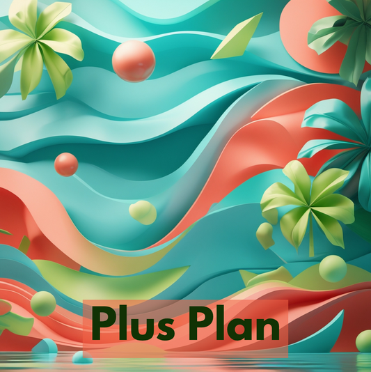 Plus Plan